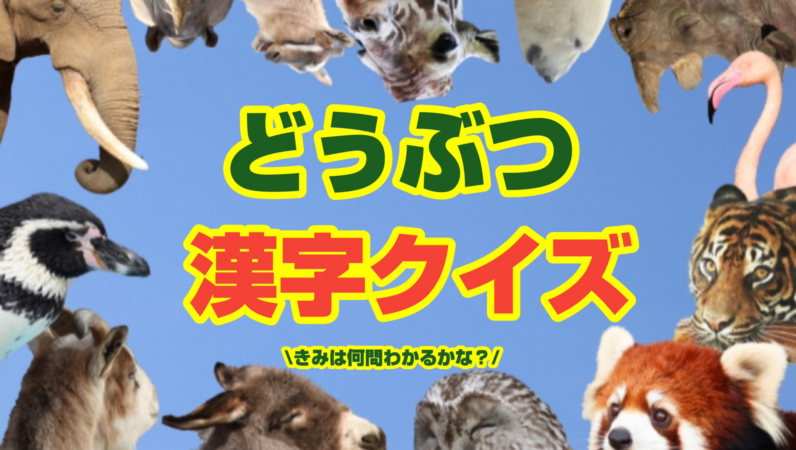 小学生向け 動物漢字クイズ パート２ 君は何問解けるかな 学童クラブクラブアウラ